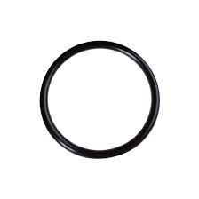 Unit Cap O-Ring Each