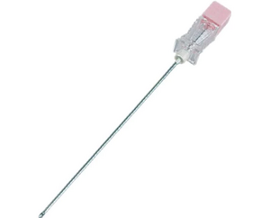 Spinal Needle Quincke Bevel 50/Pkg (Exel)