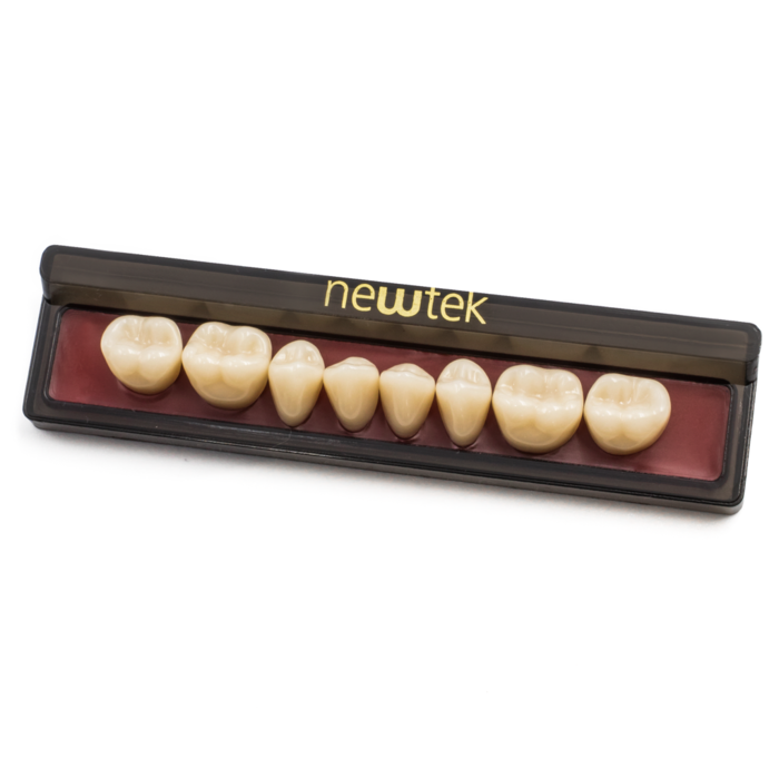 Newtek Teeth 266 Lower Anterior (Specify Shade) 6/Pk