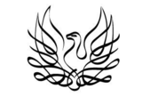 Phoenix-Lazerus, Inc.
